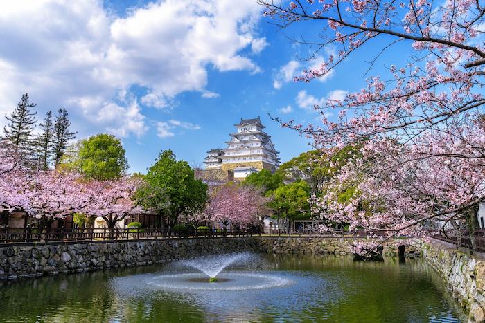 Japan to Launch Online System for Visa-Exempt Travelers